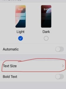 Text Size